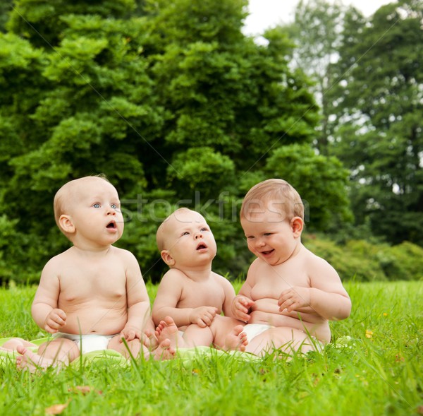 Group of babies outdoors. Stock photo © Nejron