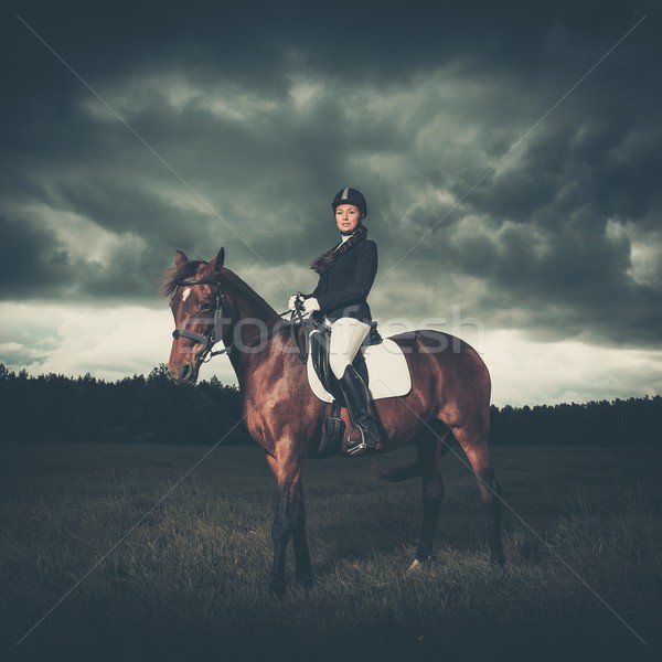 Fata frumoasa şedinţei cal în aer liber cer Imagine de stoc © Nejron