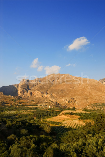 Beautiful scenic in mountains Stock photo © Nejron