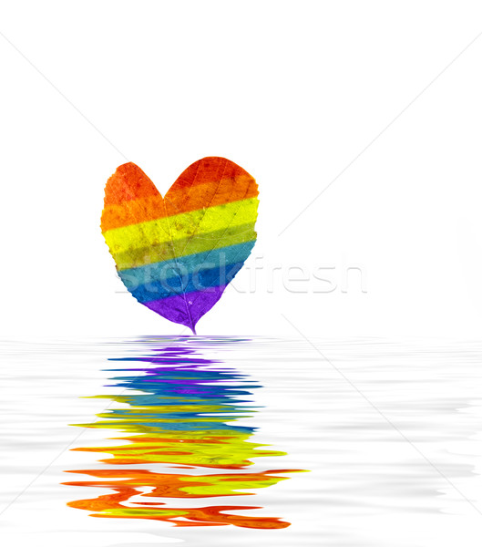 Colorful leaf in rendered water Stock photo © Nejron