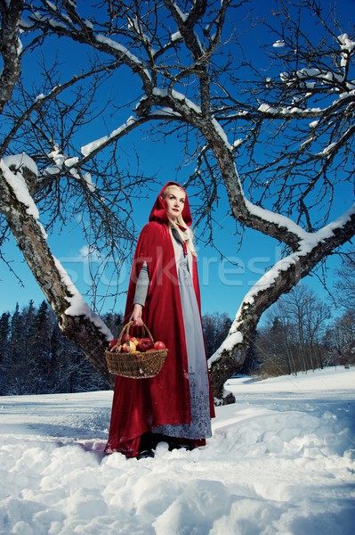 Red Hood with a basket of apples Stock photo © Nejron