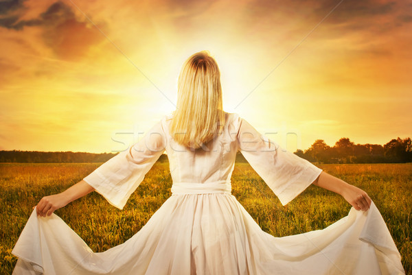 Beautiful woman in the field at sunset Stock photo © Nejron