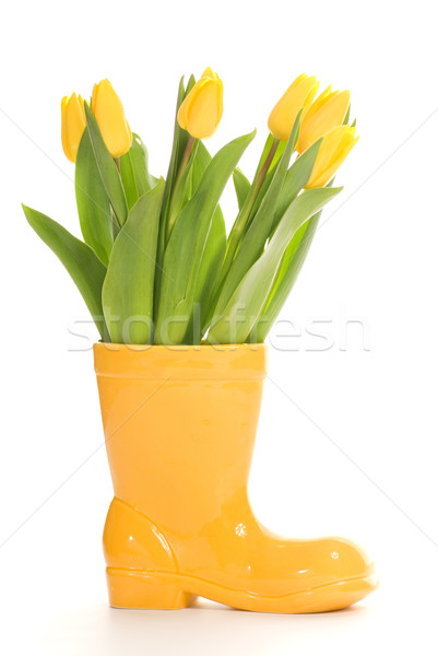 Fresh tulips in yellow vase isolated on white background Stock photo © Nejron