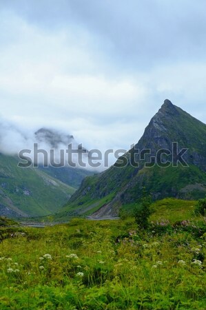 Fog in scandinavian mountains landscape Stock photo © Nejron