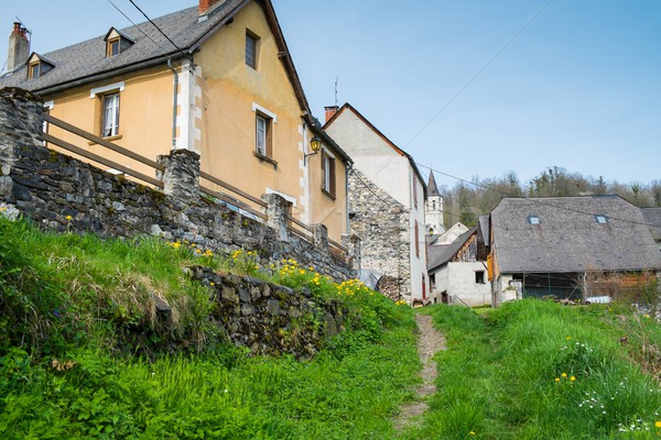 Rural houses in small Galey village, France Stock photo © Nejron