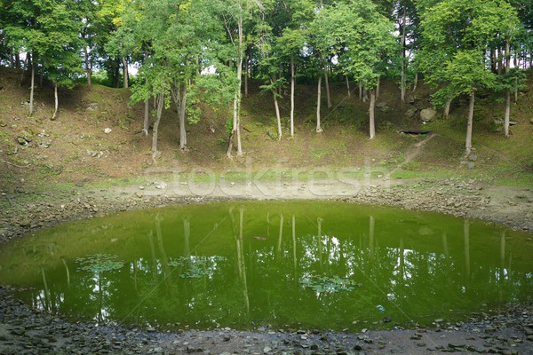 Mały jezioro meteor crater drzewo drewna lasu Zdjęcia stock © Nejron