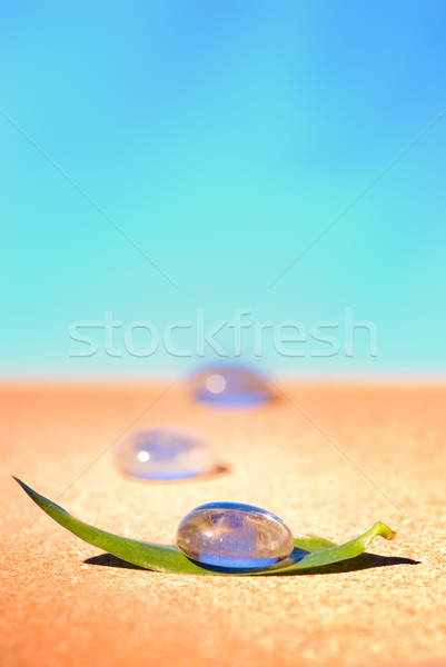 Green leaf with a raindrop on it Stock photo © Nejron