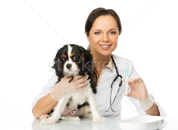 Foto stock: Jóvenes · positivo · morena · veterinario · mujer