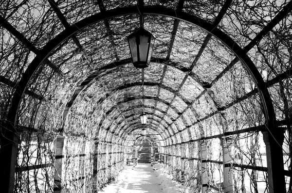 Archway in winter. Stock photo © Nejron