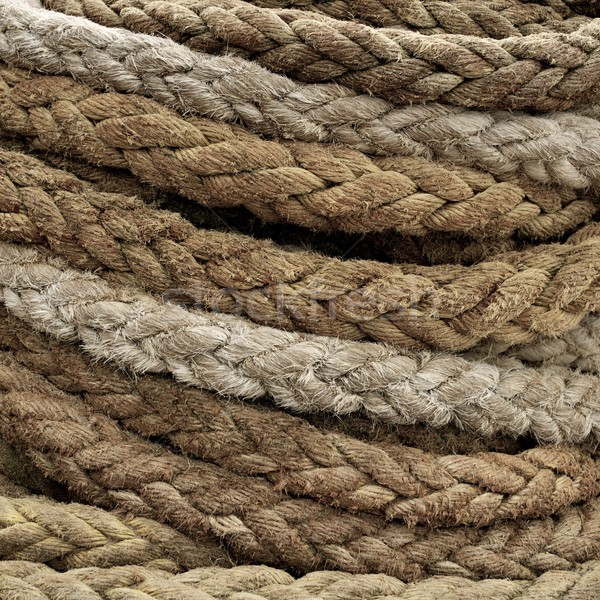 Cable close-up Stock photo © Nejron