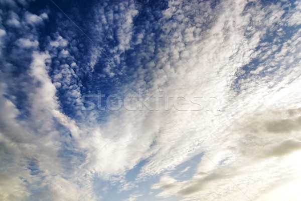 Bright white and dark stormy cumulus clouds Stock photo © Nejron