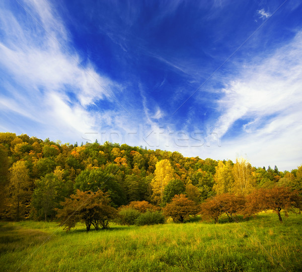 Autumn landscape Stock photo © Nejron