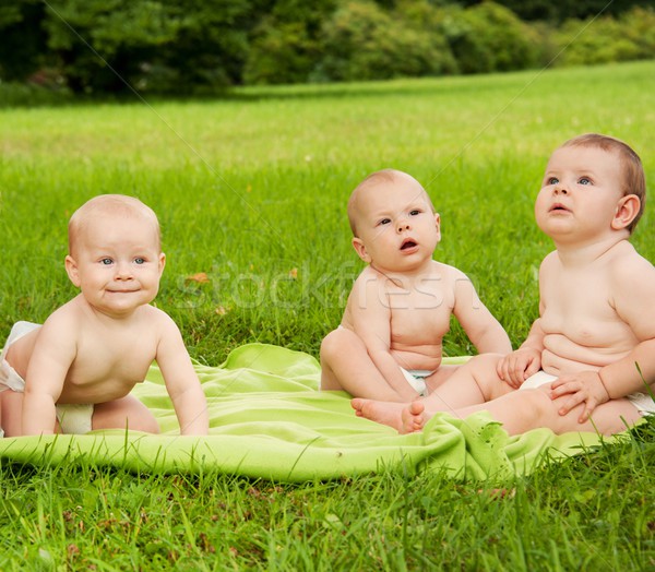Group of babies outdoors. Stock photo © Nejron