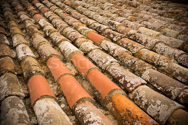 Alten Dach Fliese Haus orange Stock foto © Nejron