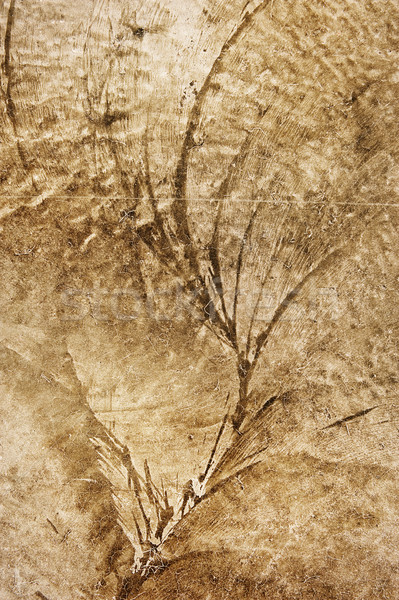 Resumen textura grunge diseno pintura fondo metal Foto stock © Nejron