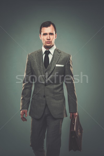 Well-dressed young businessman with a briefcase  Stock photo © Nejron