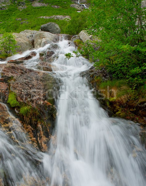Schnell Kaskade Berge Wasser Berg Stock foto © Nejron