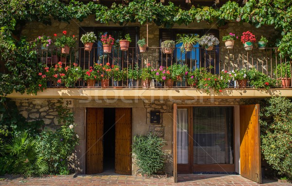 Building facade with lot of flower pots Stock photo © Nejron