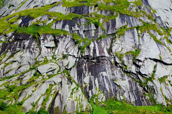 Mountain with green vegetation on it  Stock photo © Nejron