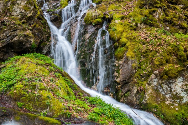 Fast little river in mountain forest Stock photo © Nejron