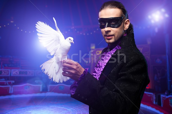 Young handsome brunette magician man in stage costume with his trained white dove on circus arena Stock photo © Nejron