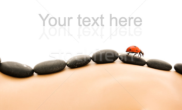 Massage with hot stones Stock photo © Nejron