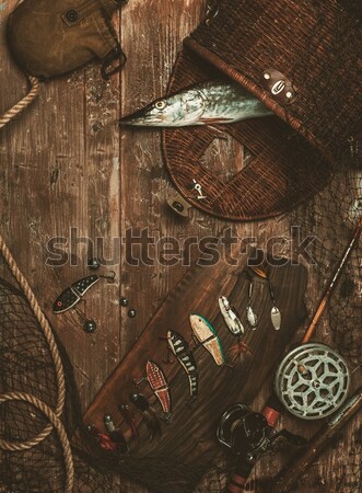 Medieval knight on grey background Stock photo © Nejron