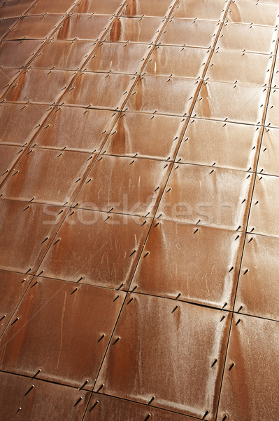 Picture of an abstract texture Stock photo © Nejron
