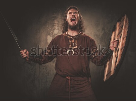 Medieval knight in attack position Stock photo © Nejron