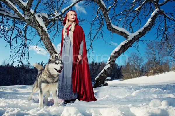 Red Hood with a wolf. Stock photo © Nejron