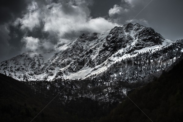 Chmury góry drzewo trawy charakter śniegu Zdjęcia stock © Nejron