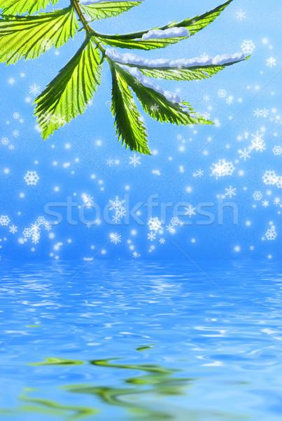 Green leaf on abstract snowflake background reflected in rendere Stock photo © Nejron