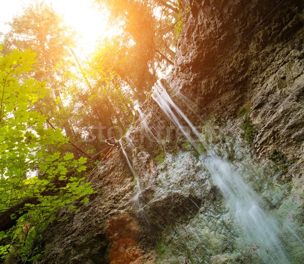 Vízesés erdő édenkert Szlovákia víz tavasz Stock fotó © Nejron