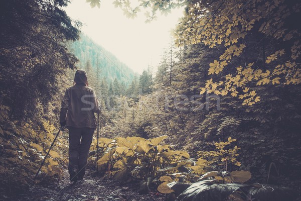 Nő kirándulás felszerlés sétál hegy erdő Stock fotó © Nejron
