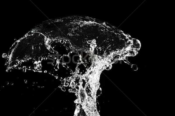 Elegante aislado negro agua resumen Foto stock © Nejron
