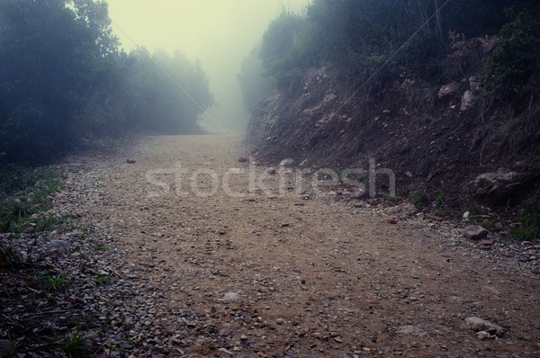 Estrada de cascalho montanhas floresta pôr do sol beleza azul Foto stock © Nejron