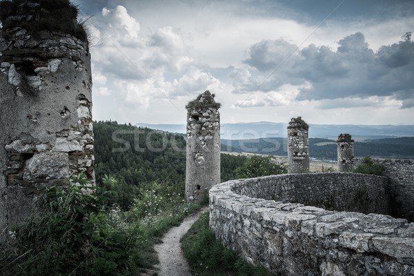 Walls of Spis Castle in Slovakia Stock photo © Nejron
