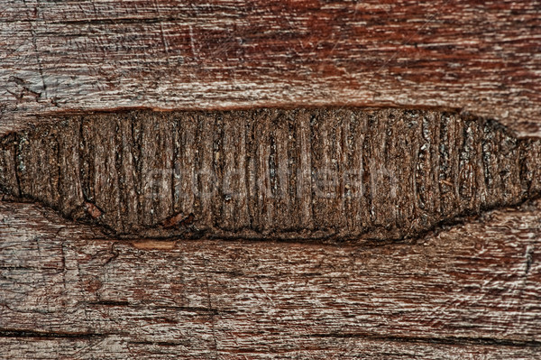 Abstract wooden texture Stock photo © Nejron