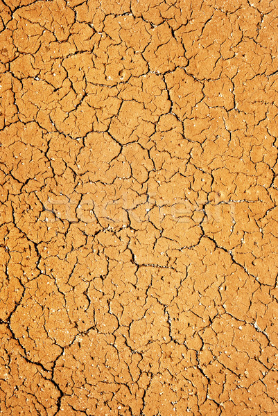Trocken Boden Textur abstrakten Hintergrund Wüste Stock foto © Nejron