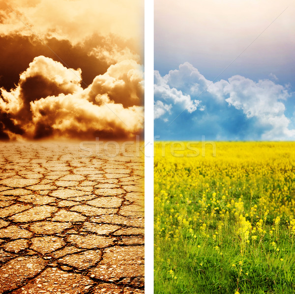 Ecologisch ramp voorjaar achtergrond aarde zomer Stockfoto © Nejron