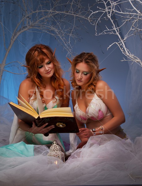 Stockfoto: Magisch · bos · boek · meisje · licht · schoonheid
