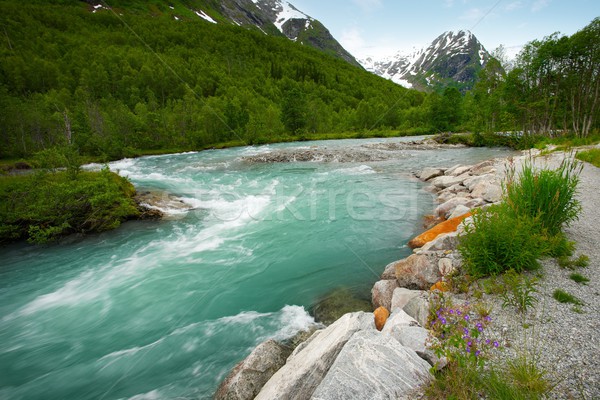 Fast river in a mountains Stock photo © Nejron