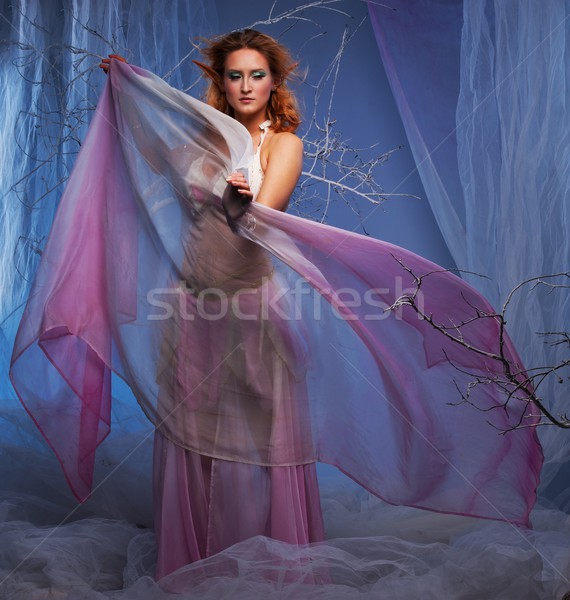 Elf magiczny zimą lasu dziewczyna drzew Zdjęcia stock © Nejron