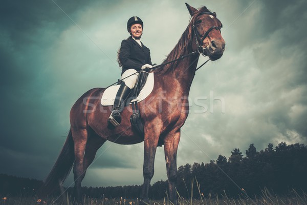 Gyönyörű lány ül ló kint szeszélyes égbolt Stock fotó © Nejron