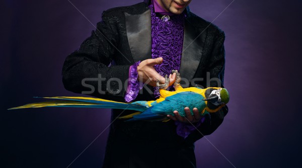 Young handsome brunette magician man in stage costume with his trained parrot Stock photo © Nejron