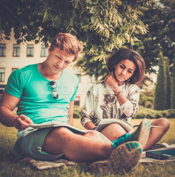 Multi ethnic students couple preparing for final exams in a city park  Stock photo © Nejron