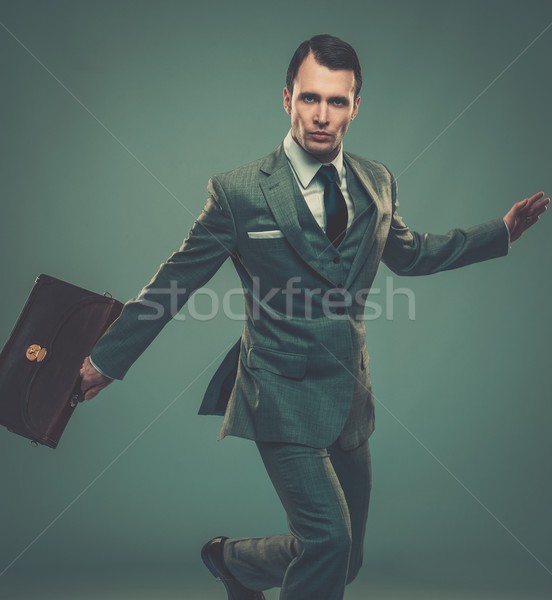 Well-dressed young businessman with a briefcase  Stock photo © Nejron