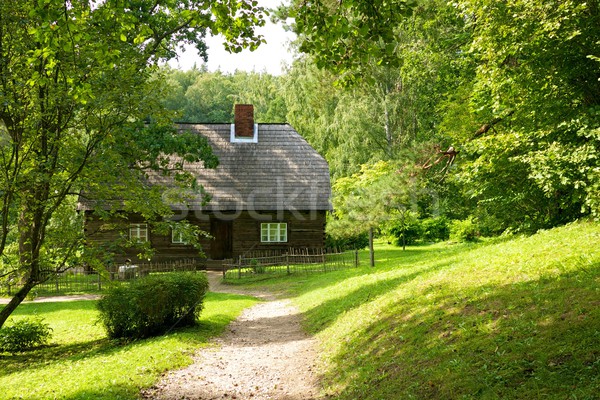 Old wooden house in the forest. Stock photo © Nejron