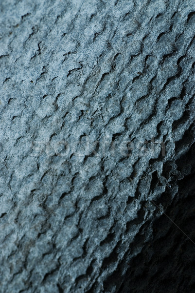 Concrete texture Stock photo © Nejron