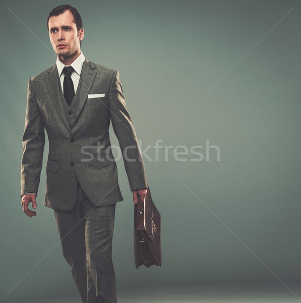 Well-dressed young businessman with a briefcase  Stock photo © Nejron